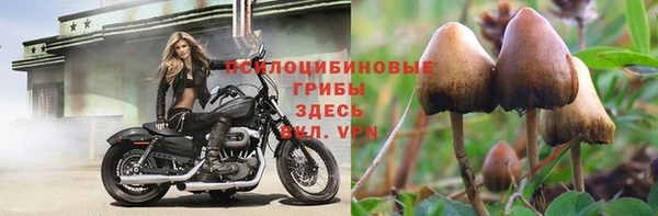 МДМА Пролетарск