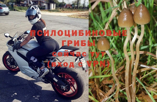 ГАЛЛЮЦИНОГЕННЫЕ ГРИБЫ Горнозаводск
