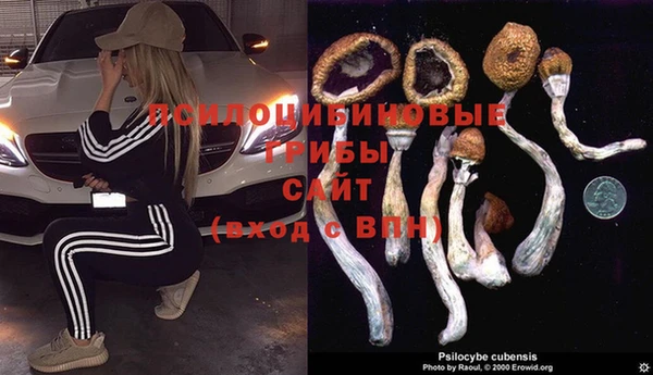 мескалин Горно-Алтайск