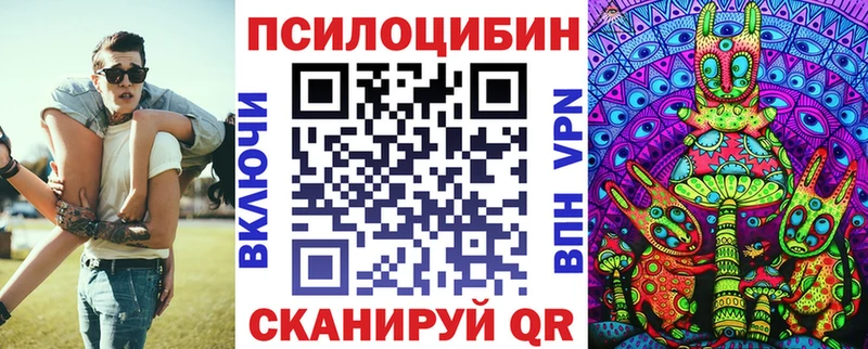 где найти   Надым  ссылка на мегу как войти  Псилоцибиновые грибы прущие грибы 